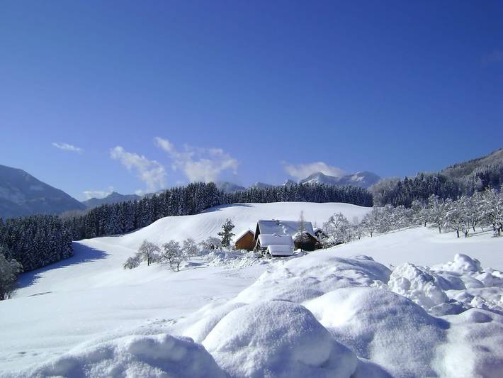 Bauernhaus für 3 Personen, mit Seeblick und Pool sowie Ausblick und Garten, kinderfreundlich am Attersee