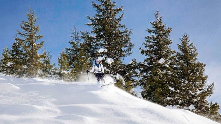 Hotel für 2 Personen, mit Pool und Garten, mit Haustier in Rauris - 3
