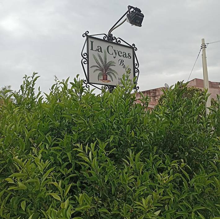 Chambre d’hôte pour 2 personnes, avec terrasse ainsi que jardin et vue, animaux acceptés à Trabia - 4