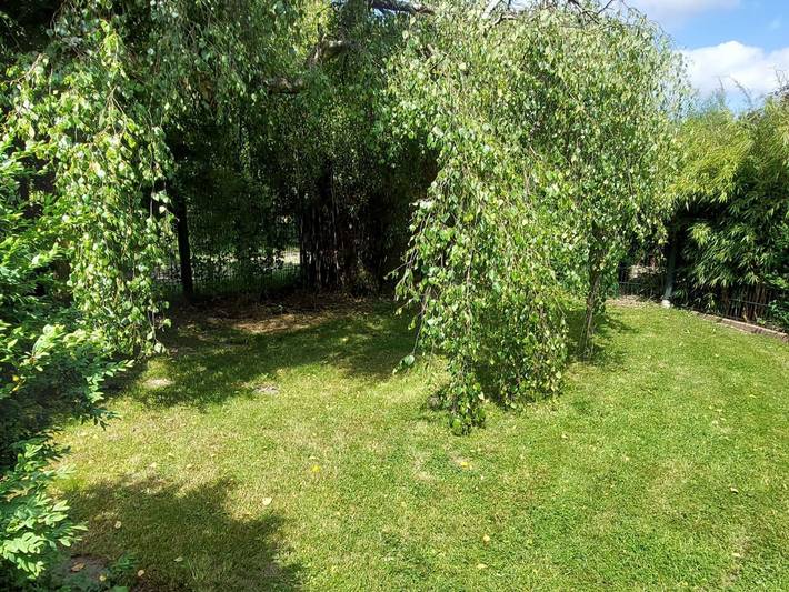 Ferienwohnung für 6 Personen, mit Terrasse und Garten in Tecklenburg - 4