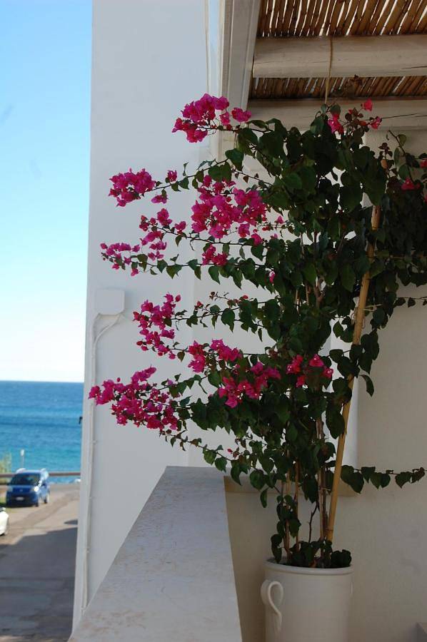 Ferienhaus für 5 Personen, mit Ausblick und Terrasse in Torre San Giovanni - 2