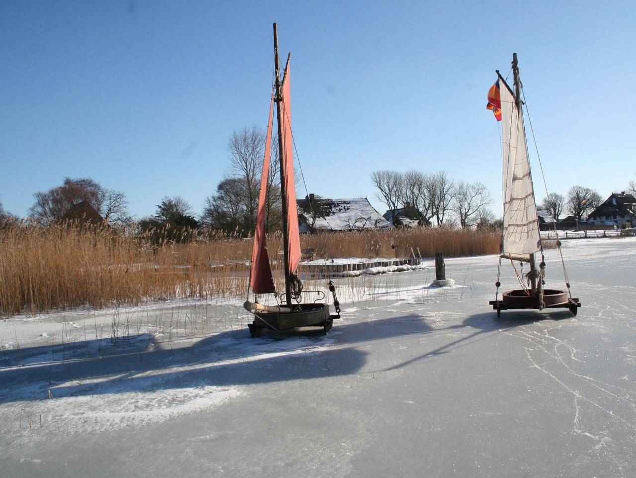 Ferienhaus Dünenhaus Nr. 6 - Ferienhaus Dünenhaus in Dierhagen, Fischland