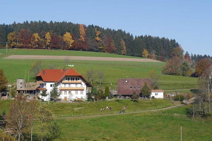 Gîte pour 7 personnes, avec balcon à Biederbach
