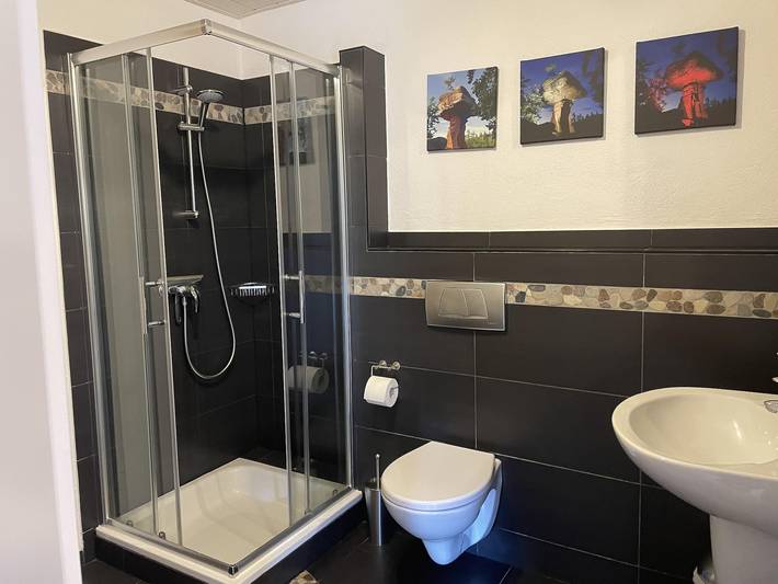 Ganze Ferienwohnung, Appartement/Fewo, Dusche, Wc, 1 Schlafraum in Erfweiler, Landkreis Südwestpfalz
