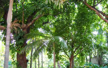 Maison De Vacances pour 10 Personnes dans Saint-Joseph (Réunion), Île de la Réunion, Photo 4