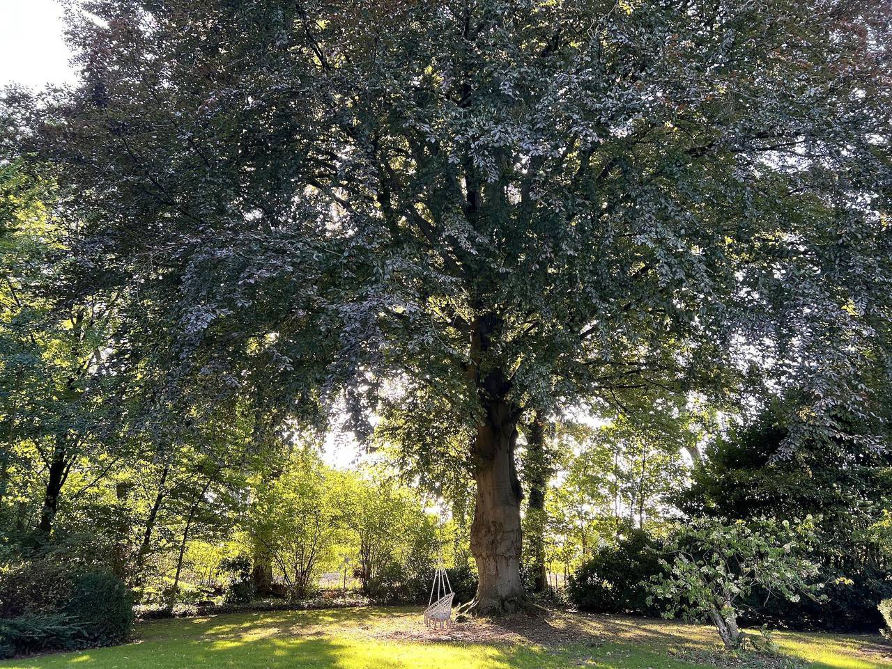 Ganze Ferienwohnung, Ferienwohnung Rotbuche - Appartement/Fewo, Dusche und Bad, Wc, 2 Schlafräum in Rastede, Ammerland