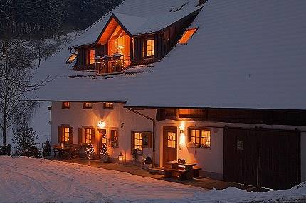 Gîte pour 5 personnes, avec jardin, adapté aux familles à Steinach - 3