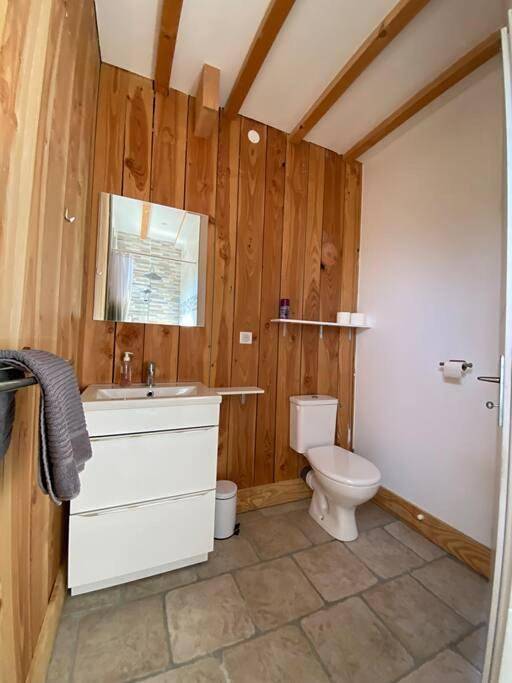 Gîte pour 2 personnes, avec jardin et piscine ainsi que jacuzzi et terrasse à Rieux-de-Pelleport - 4