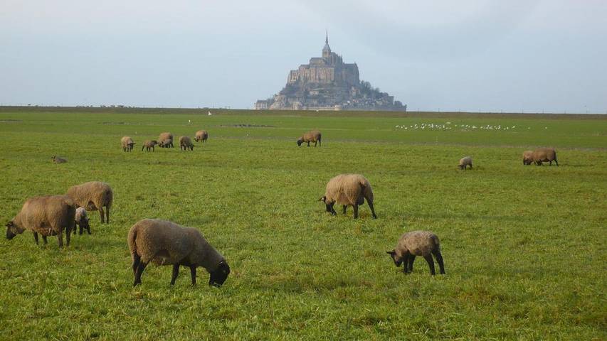 Location de vacances pour 3 personnes, avec vue et jardin à Céaux