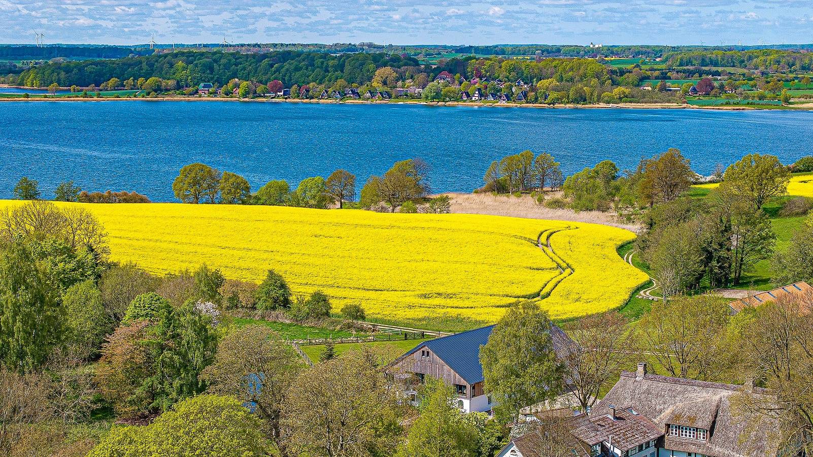 Ganze Wohnung, Panoramablick im Design-Apartment an der Schlei in Thumby, Rendsburg-Eckernförde
