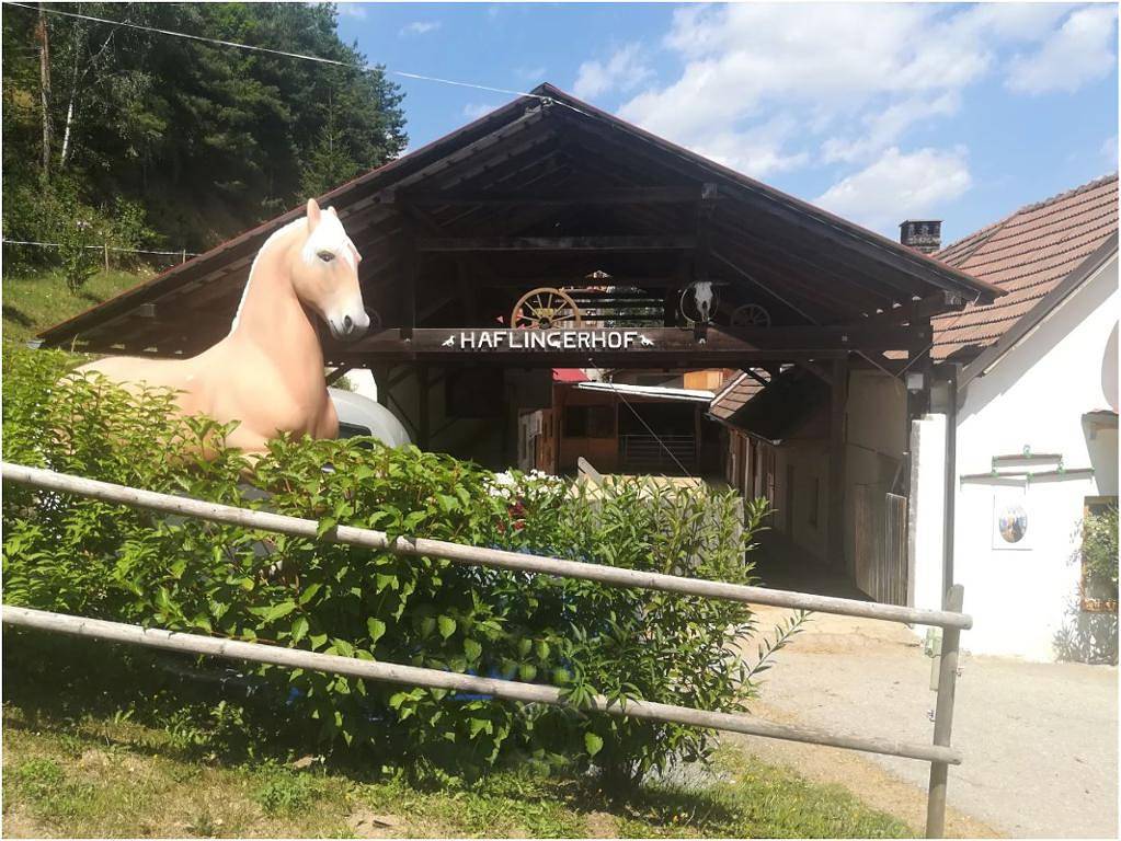 Ganze Wohnung, Haflingerhof Luef - Familienzimmer mit Küchenzeile in Bad Schönau, Wiener Alpen