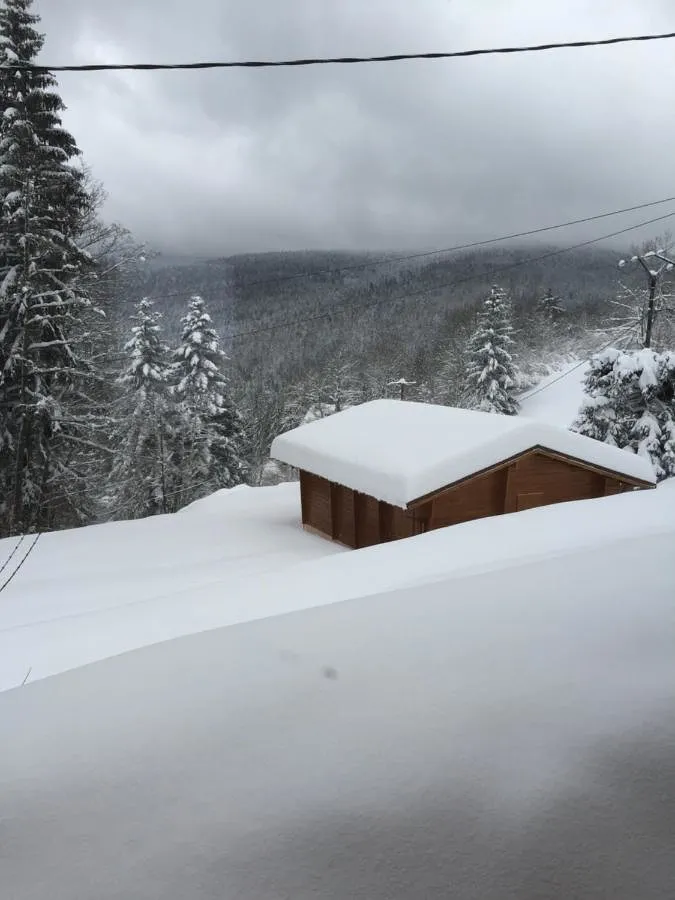 Chalet pour 6 personnes, avec vue ainsi que sauna et jardin - 1
