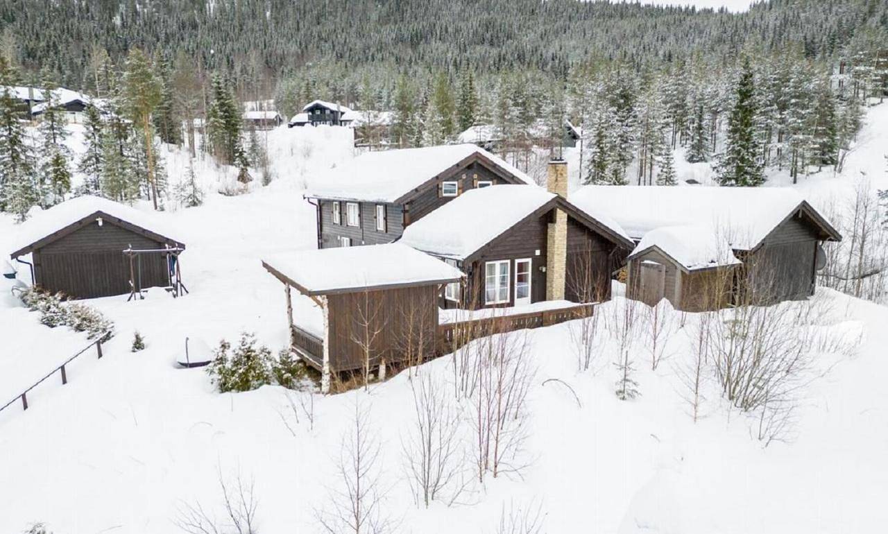 A wonderful estate of two houses for all seasons! in Trysil