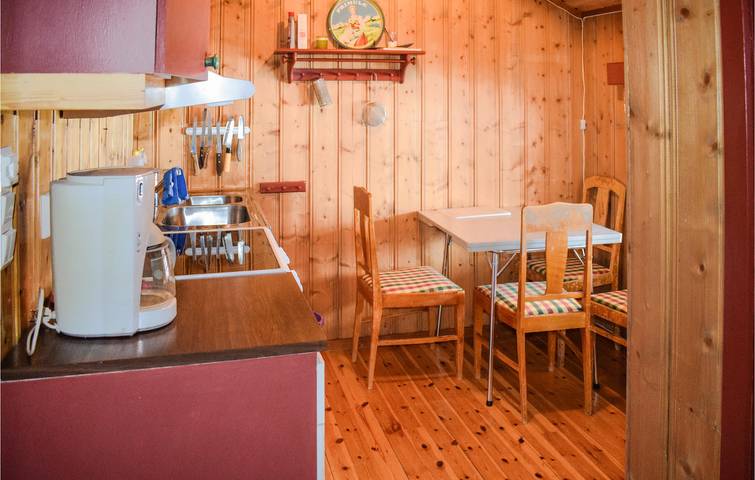 Ferienhaus für 4 Personen mit Terrasse in Vinje