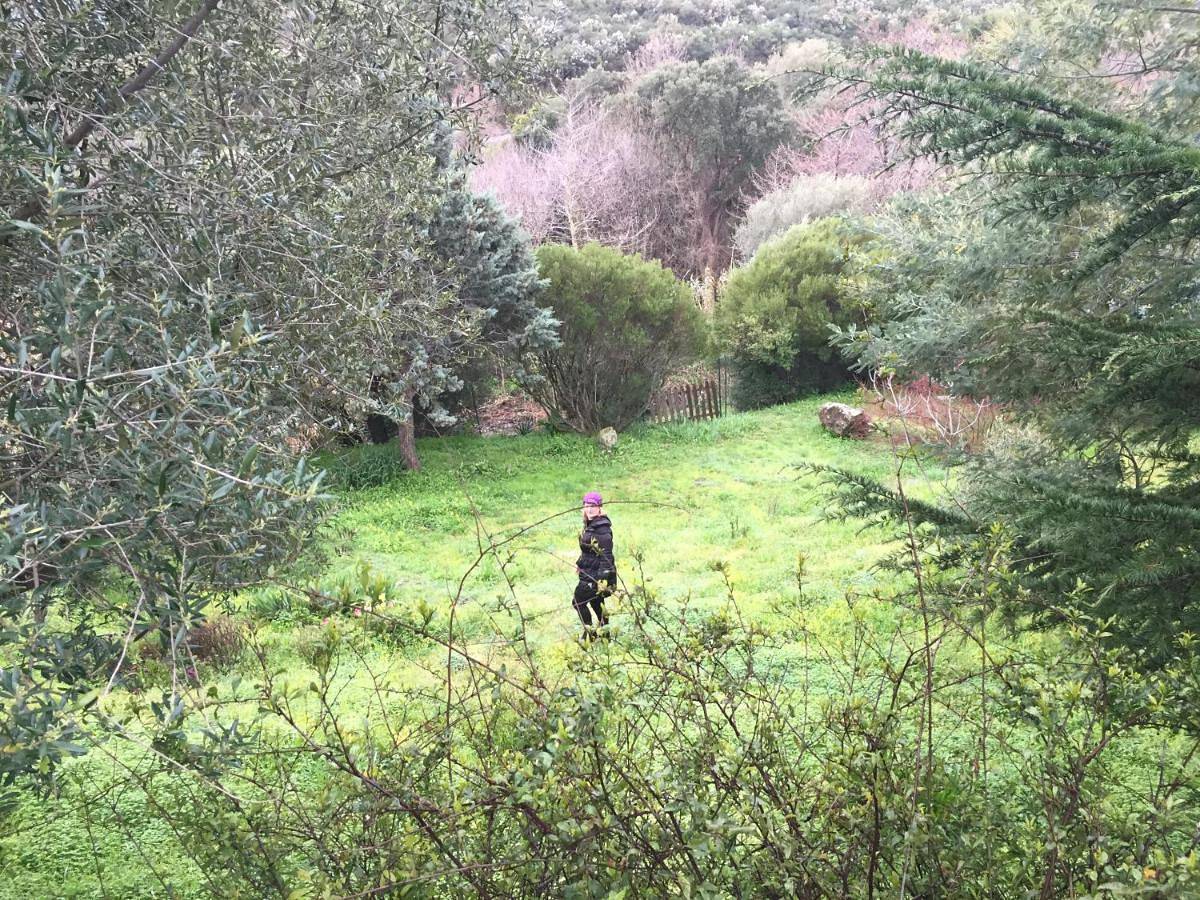 Appartement entier, Agréable bas de villa in Furiani, Cap Corse