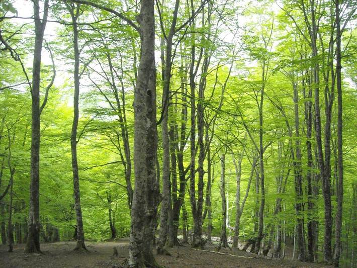 Hotel para 2 personas, con jardín y terraza en Pirineo Navarro - 4