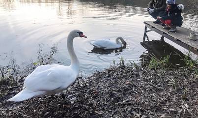 Bauernhof für 4 Personen in Týnec nad Sázavou, Mittelböhmen, Bild 4
