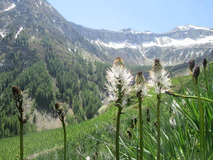 Gîte pour 2 personnes, avec terrasse, animaux acceptés à Saint-Bonnet-en-Champsaur - 2