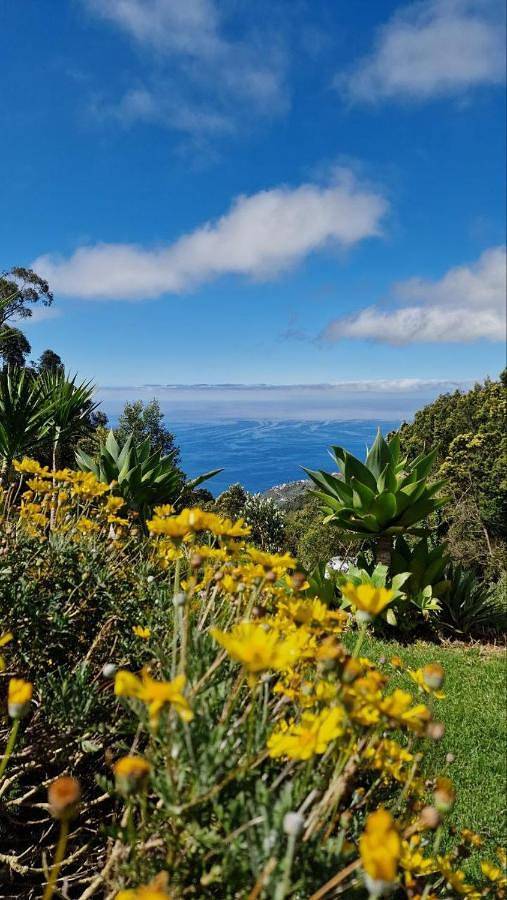 Bungalow para 3 pessoas, com Terraço e Jardim e ainda Vista em Madeira