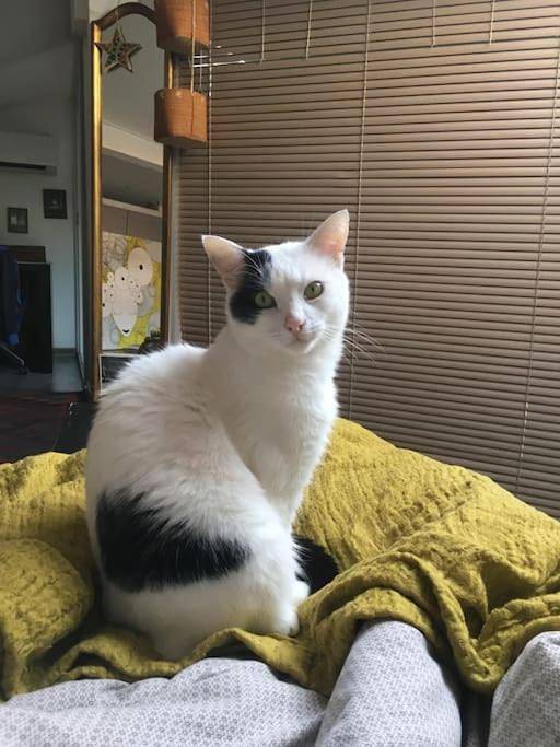 Location de vacances pour 4 personnes, avec terrasse dans Vauban - 2