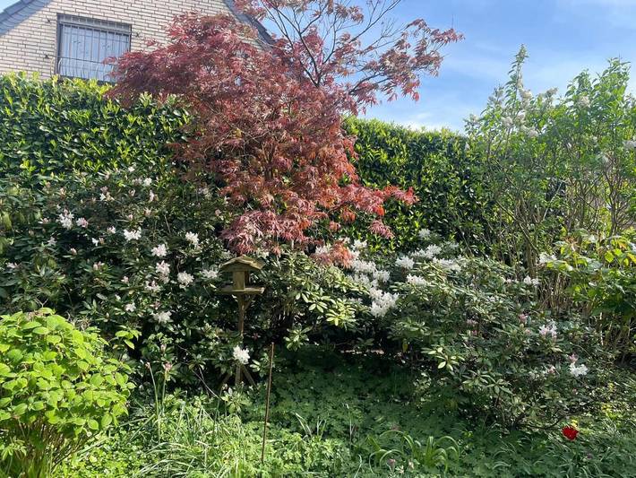 Ferienhaus für 7 Personen, mit Terrasse im Ruhrgebiet - 4