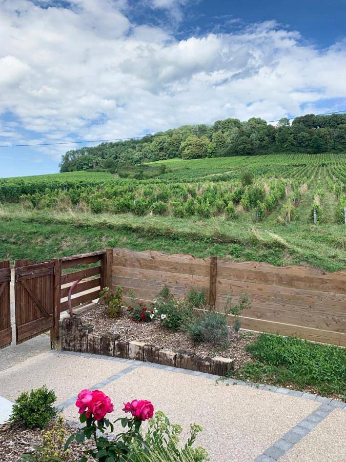 Appartement de vacances pour 2 personnes, avec piscine ainsi que vue et jardin