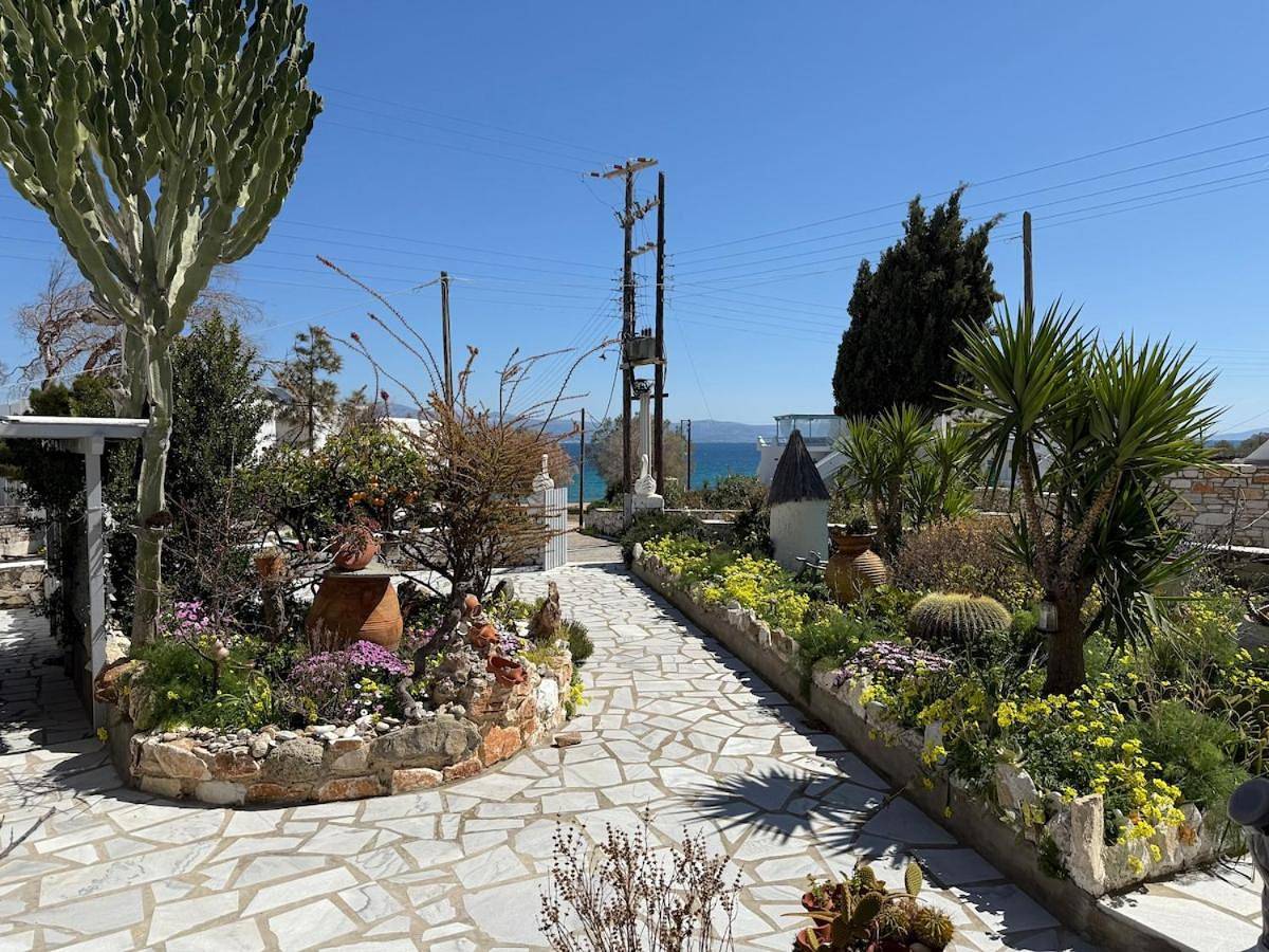 Stavros Studios in Paros
