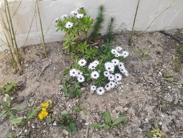 Gîte pour 3 personnes, avec terrasse à Les Pennes-Mirabeau - 2