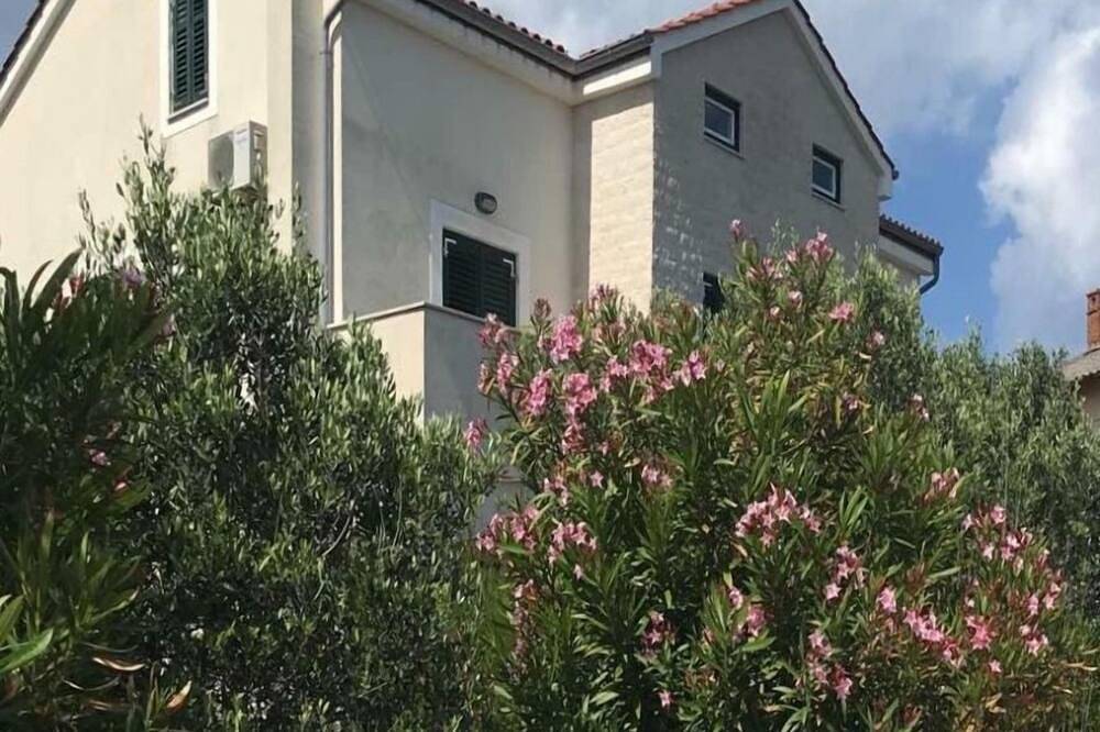 Ganze Wohnung, Ferienwohnungen Azur (104721-A2) - Ilovik in Lošinj