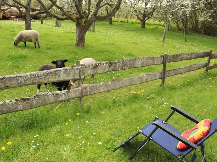Bauernhaus für 5 Personen, mit Garten und Balkon am Bodensee - 4