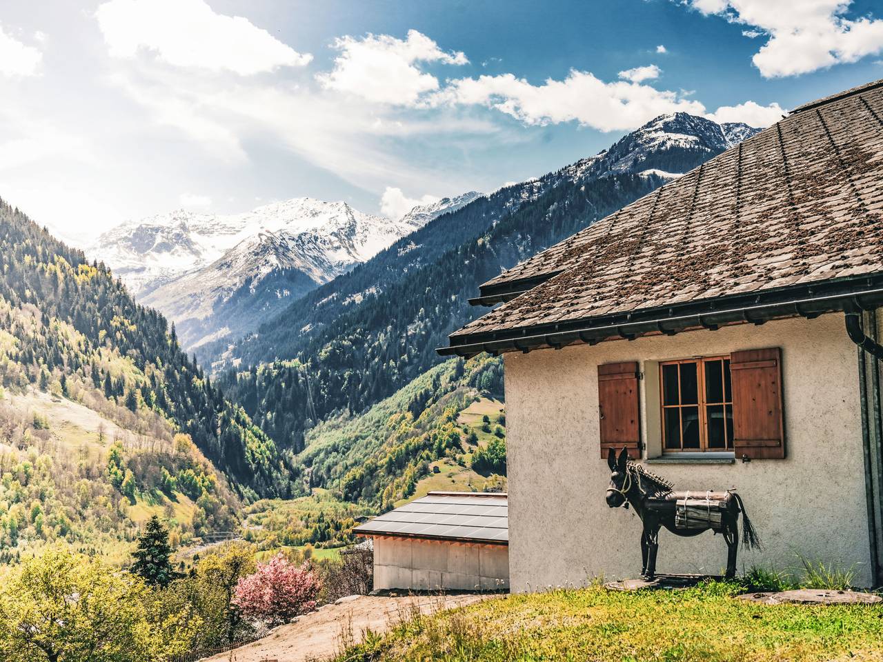 Ganze Wohnung, Casa Foppa in Rabius, Sumvitg