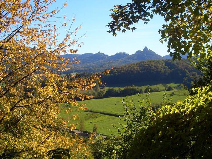 Ganze Ferienwohnung, Burgunderhof - Weingut & Ferienwohnungen - Riesling in Annweiler, Südliche Weinstraße
