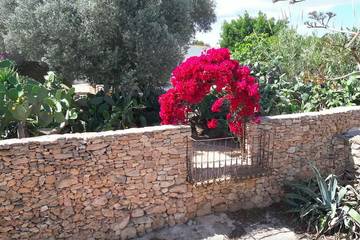 Cottage für 7 Personen in Formentera, Balearen, Bild 2