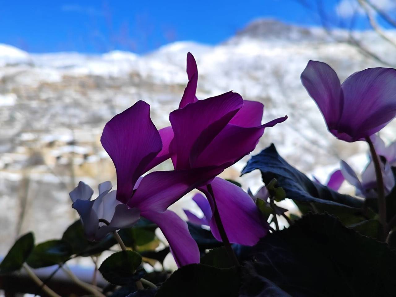 Casa Rural 'El Bac' con vistas a la montaña, terraza y jardín privados in Castellar de Nuch, Pirineo Catalan