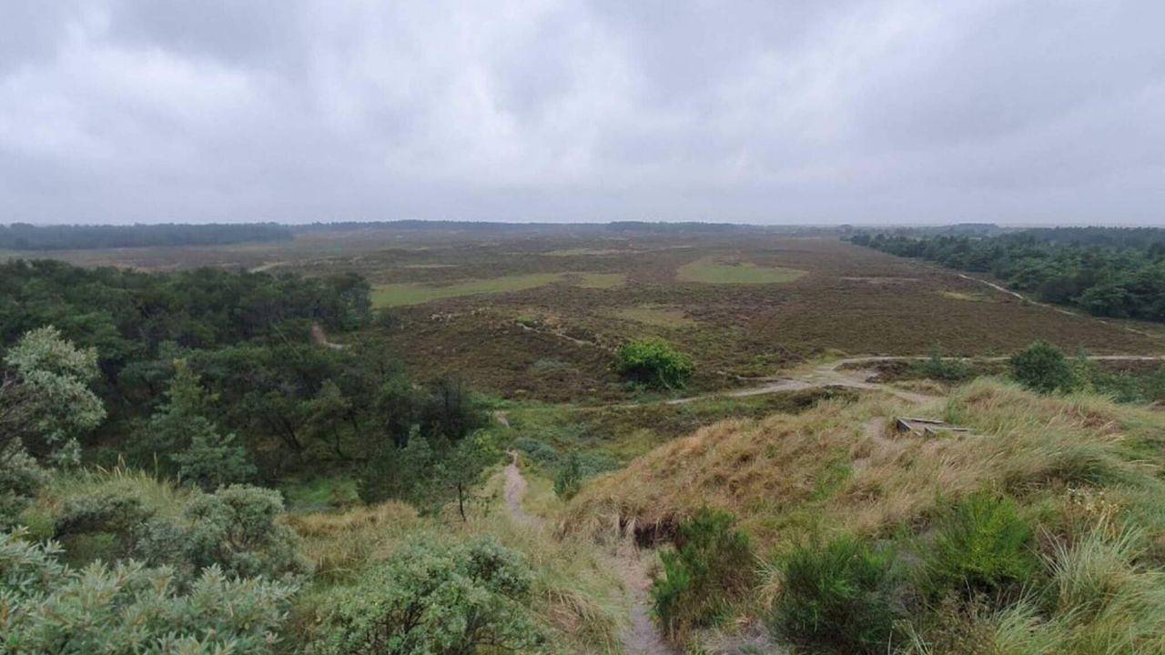 Ferienhaus für 6 Personen (138 m²) in Rømø in Toftum, Rømø
