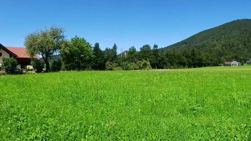 Ferienwohnung für 6 Personen, mit Garten in Faistenau