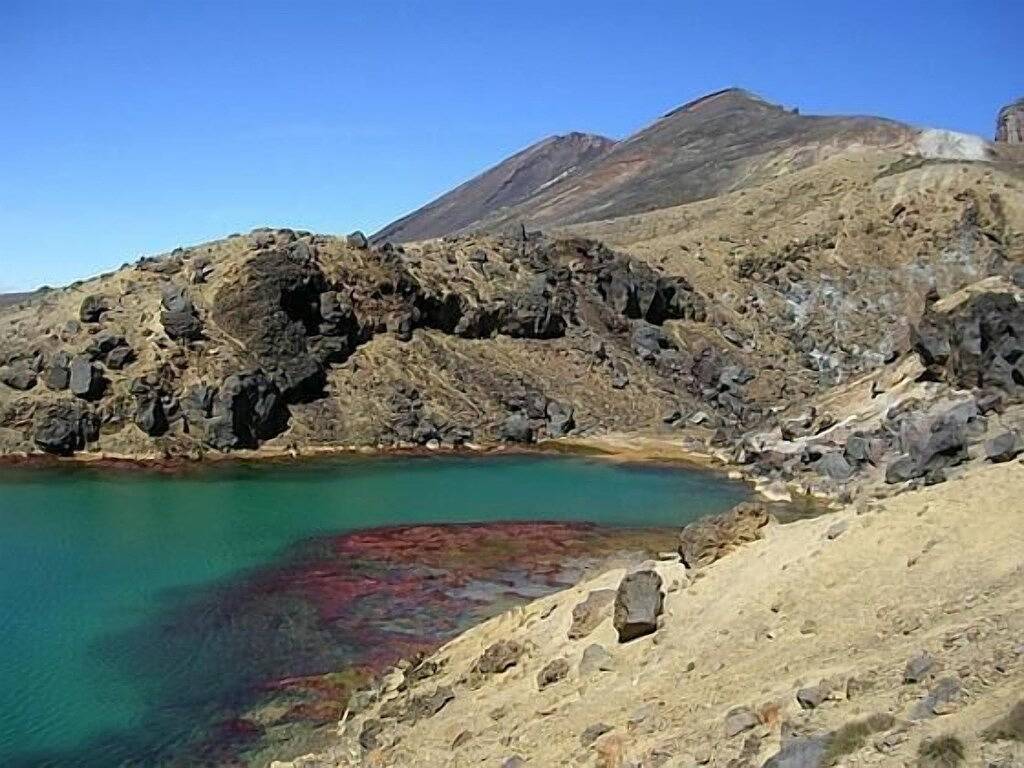 Gutes Preis-Leistungs-Verhältnis Cottage - 20 Minuten nach Whakapapa in Ruapehu District