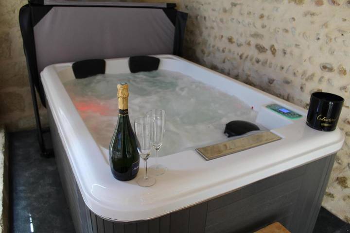 Gîte pour 2 personnes, avec jardin ainsi que piscine et vue à Vauvert - 4