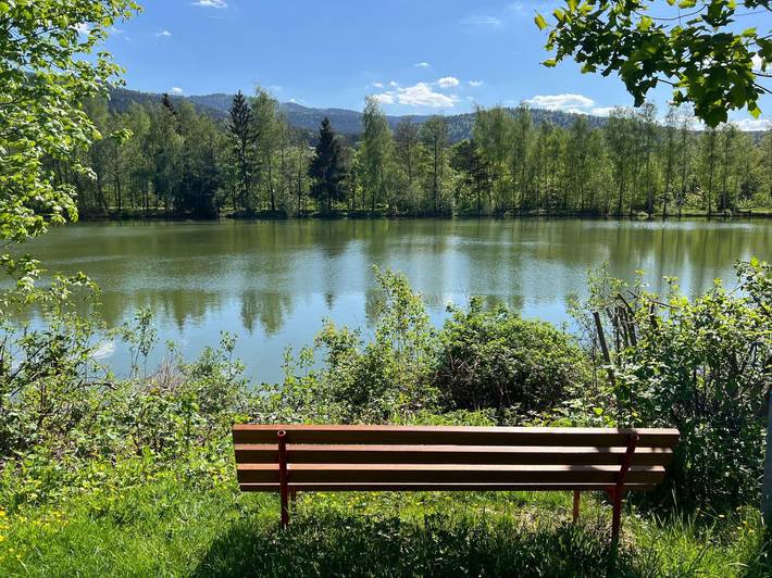 Ferienhaus für 16 Personen, mit Garten und Seeblick, mit Haustier in der Oberpfalz - 3