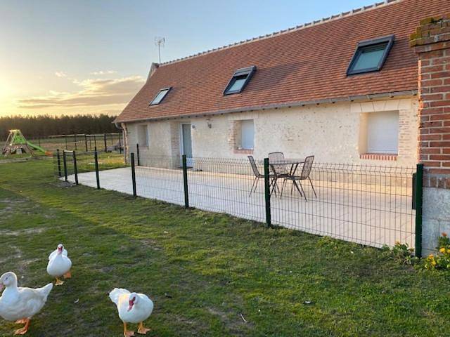 La maison des canards in Romorantin-Lanthenay, Sologne