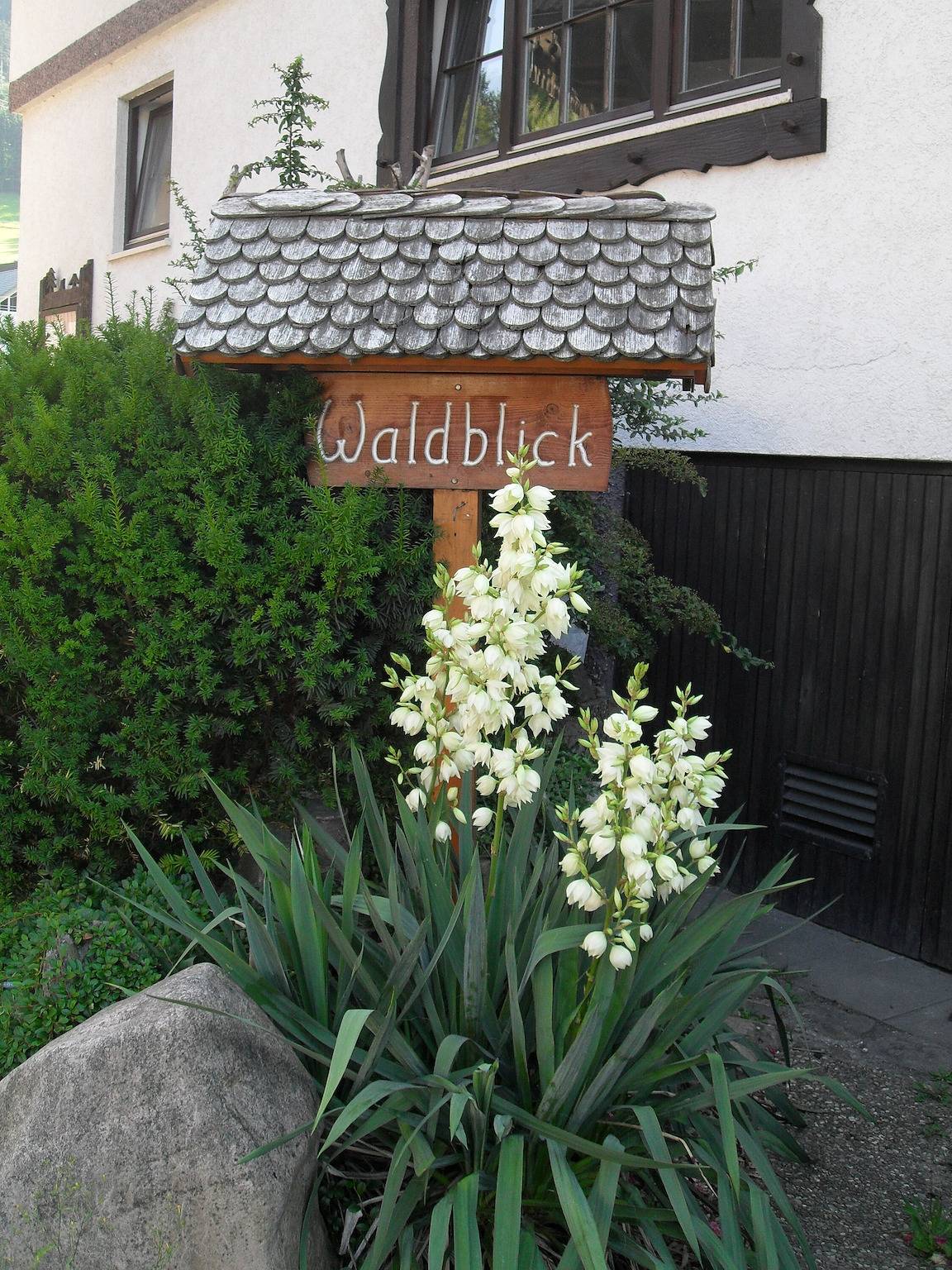 Ganze Wohnung, Apartment '70qm, 2 Schlafräume' mit Bergblick, Balkon und Wlan in Simonswald, Südschwarzwald