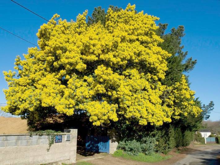 Chambre d’hôte pour 2 personnes, avec jardin et terrasse, animaux acceptés à Plouha - 2