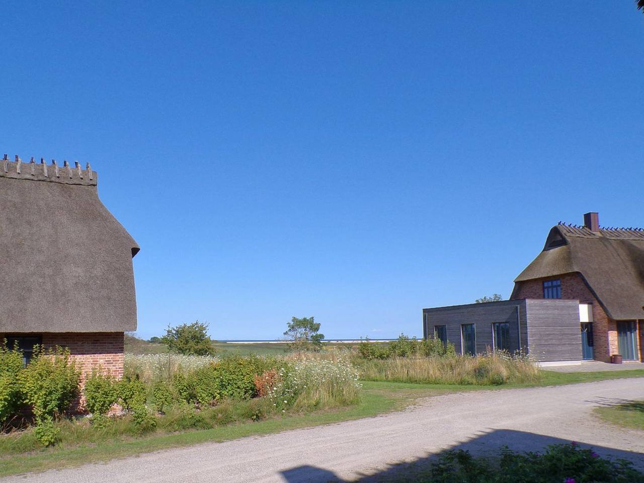 Malerhaus Wollgras, das Reetdoppelhaus für 4-5 Personen mit schönem Birkblick. in Geltinger Birk, Nieby