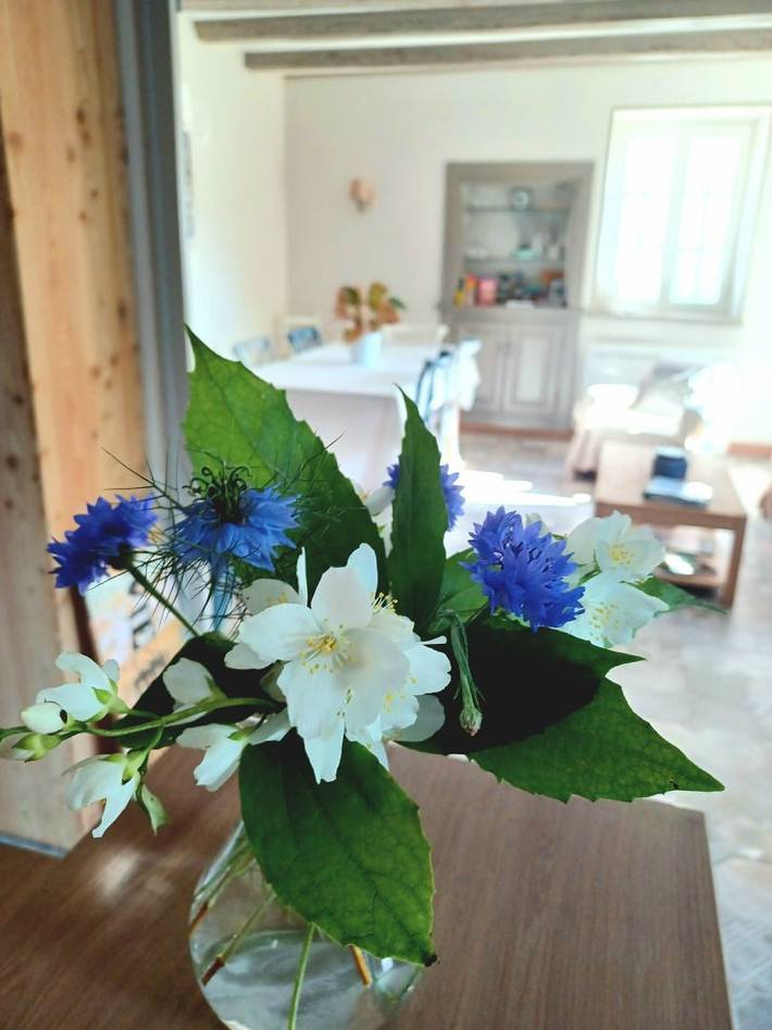 Gîte pour 4 personnes, avec jardin en Bourgogne - 3