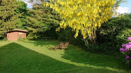 Ferienhaus für 3 Personen in Blankenheim, Ahrtal, Bild 4