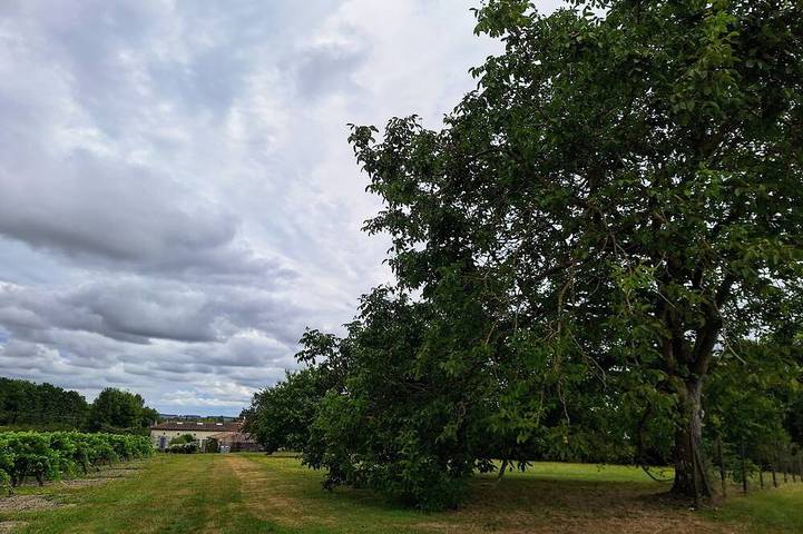 Gîte pour 6 personnes, avec piscine à Saint-Germain-de-Vibrac