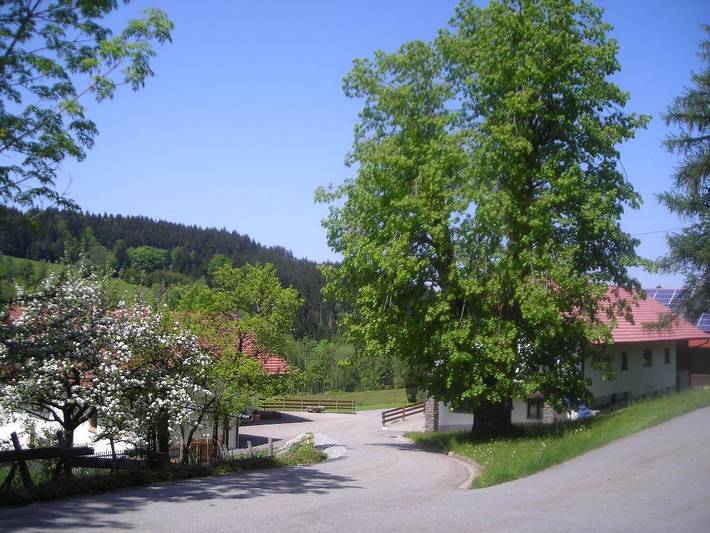 Apartamento entero, Ferienwohnung Lindenhof - ***** Ferienwohnung 85qm in Sankt Englmar, Baviera Oriental