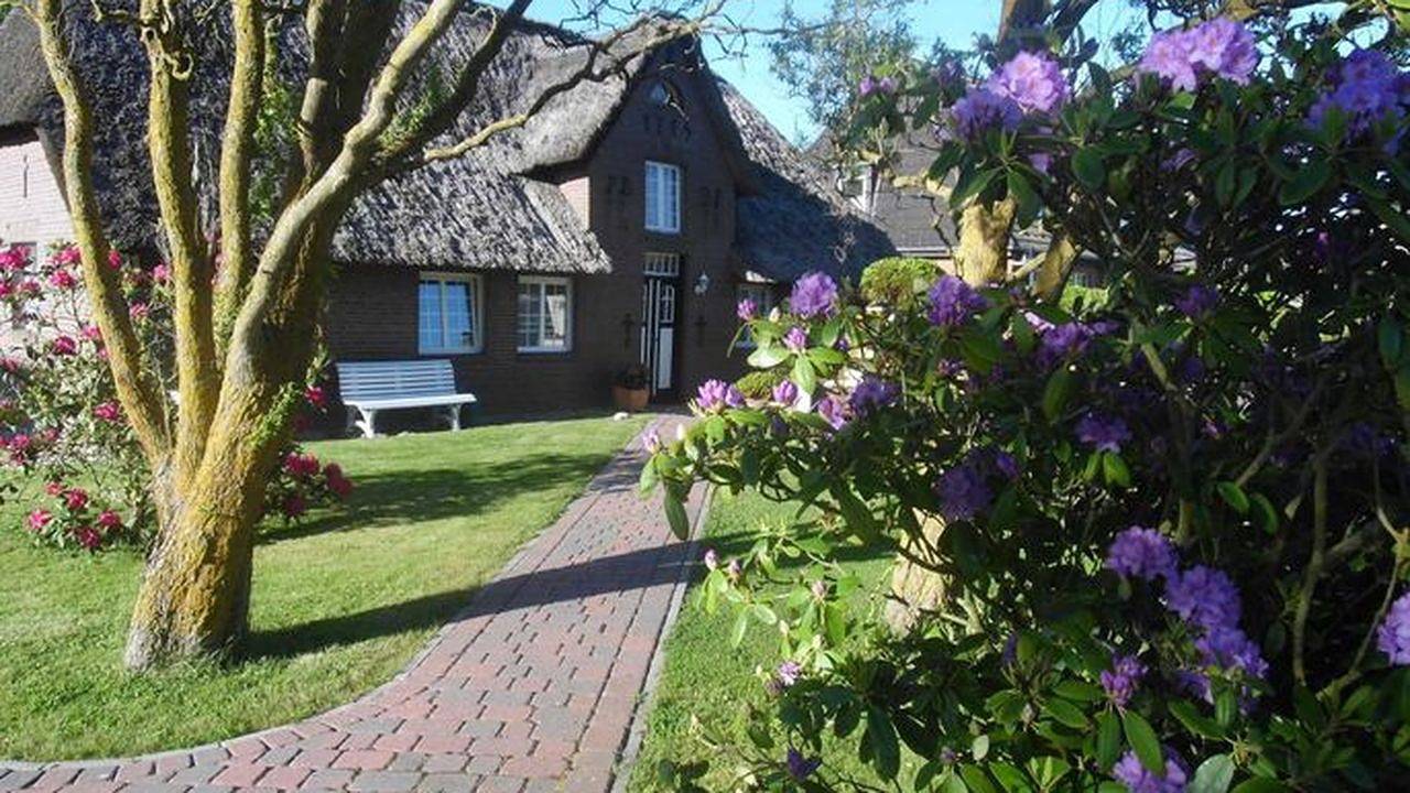 Ferienhaus für 6 Personen (83 m²) in Morsum (Sylt) in Sylt-Ost, Sylt (Gemeinde)