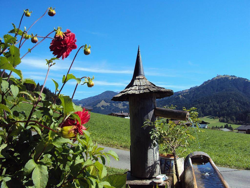 Ganze Ferienwohnung, Ferienwohnungen Stallerhof in Sankt Jakob in Haus, Saalbach-Hinterglemm