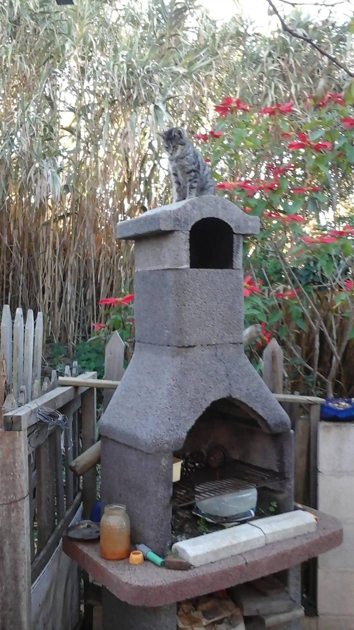 Casa rural para 7 personas, con jardín, Se admiten mascotas en Gran Canaria - 3